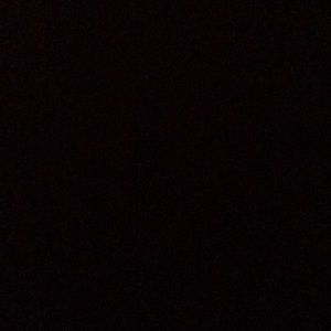 Meet your Posher, Benji